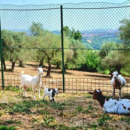 Onde E Monti Benevento